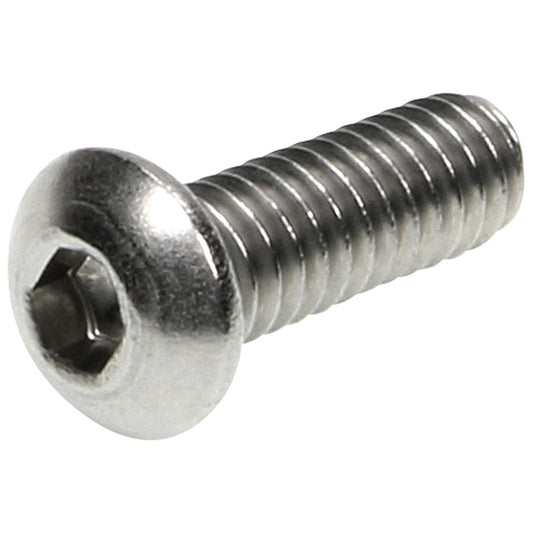 Button Head Bolts 1/4-20 x 3/4in 25pk SS