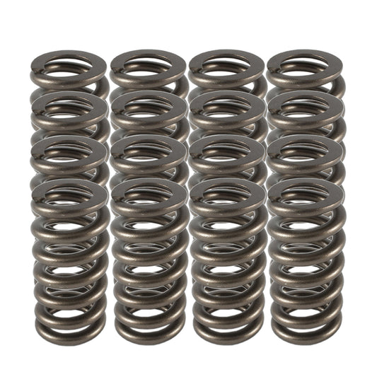 1.025 Valve Springs - Ovate Beehive (16)