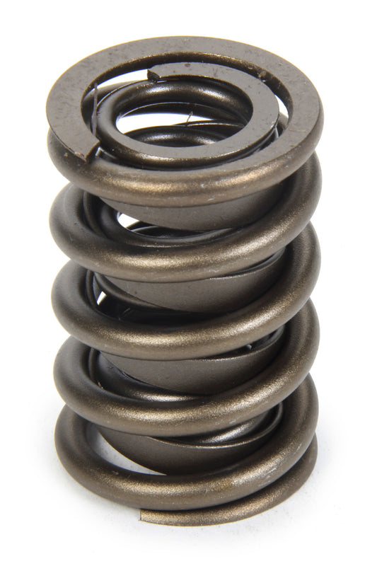 Valve Spring - HR Series (1)