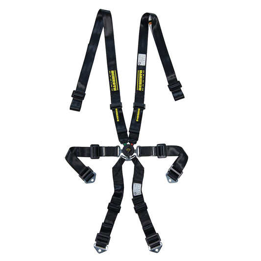 6pt Harness Profi 2x2 Pull-Up Lap